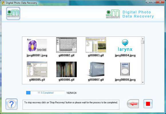 Digital image restoration software recovers deleted photographs from USB media