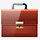 Corporate or Government Segment User License