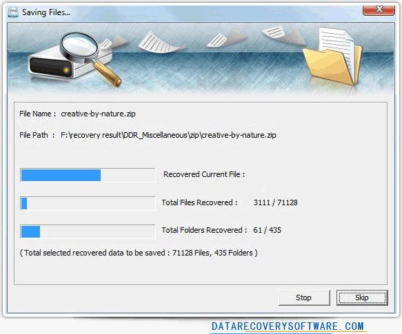 DDR professional data recovery software Saving Files